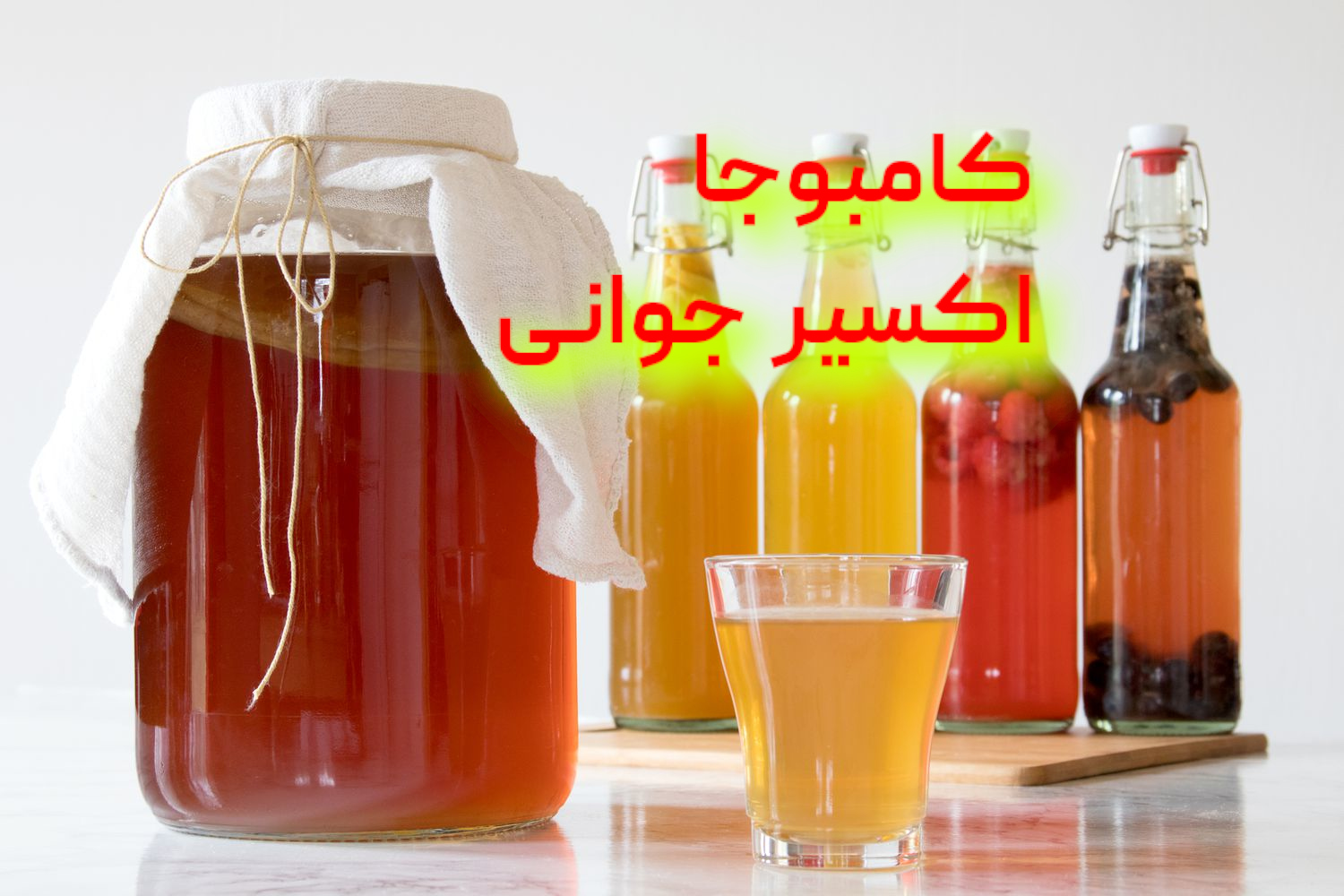 کامبوجا چیست ؟‌خرید آنلاین کامبوجا